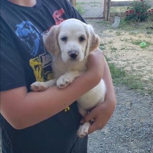 Meet your Posher, Brandon